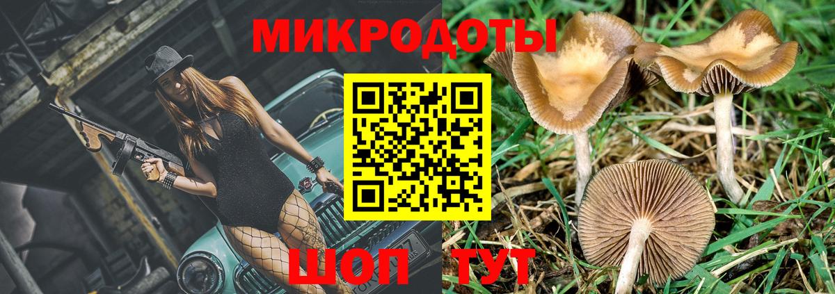 Галлюциногенные грибы Psilocybine cubensis Нижнекамск